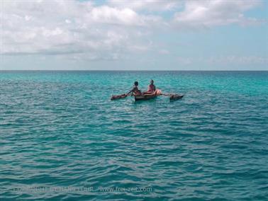 Swimming with dolphins, Zanzibar, DSC07841c